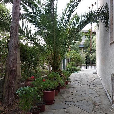Velikis Apartments Torone Zewnętrze zdjęcie