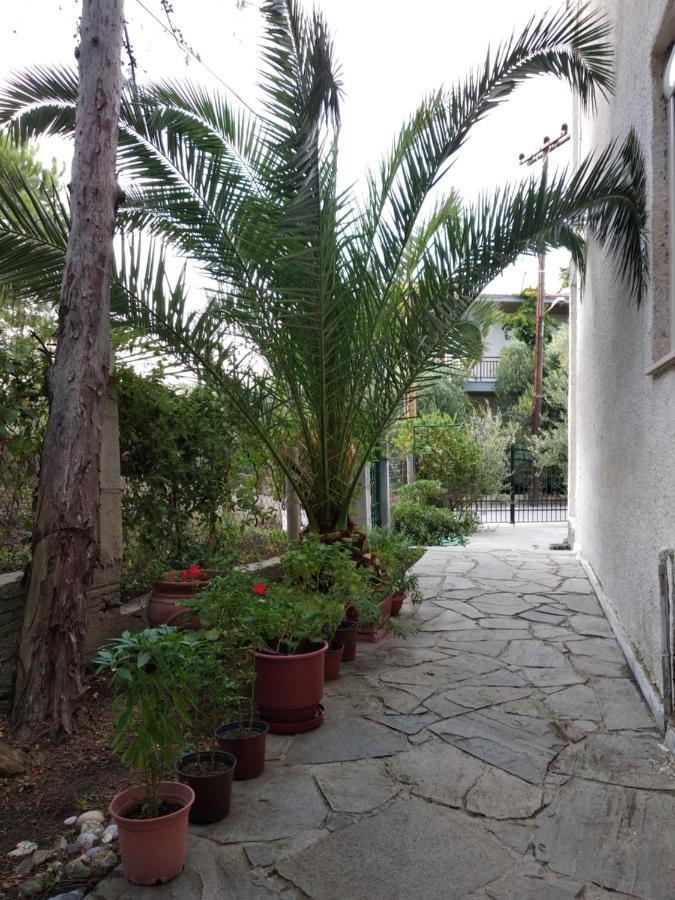 Velikis Apartments Torone Zewnętrze zdjęcie