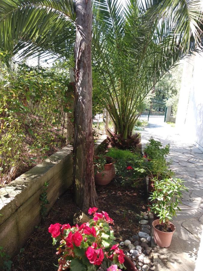Velikis Apartments Torone Zewnętrze zdjęcie